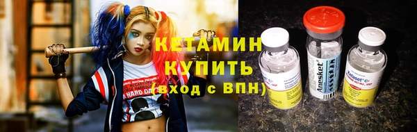 гашик Алексин