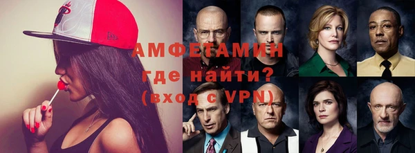гашик Алексин