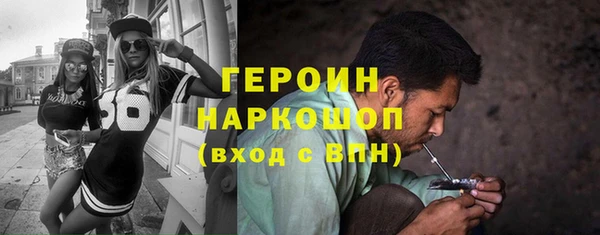 гашик Алексин