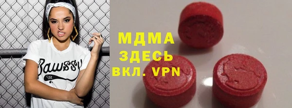 гашик Алексин
