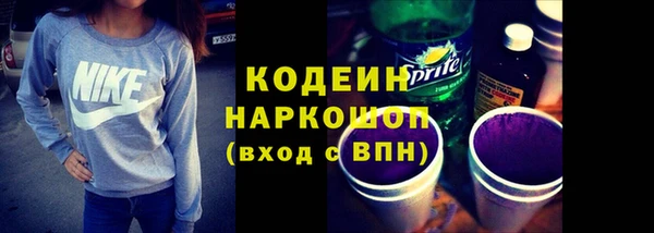 гашик Алексин