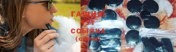 гашик Алексин