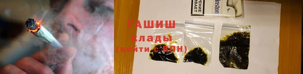 гашик Алексин