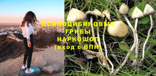 прущая мука Алзамай