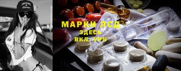 гашик Алексин
