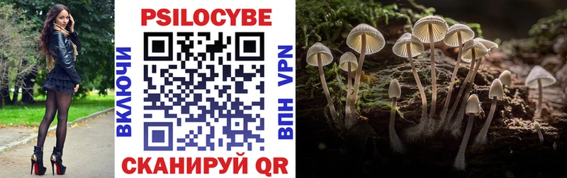 Псилоцибиновые грибы мухоморы  купить закладку  Ветлуга 